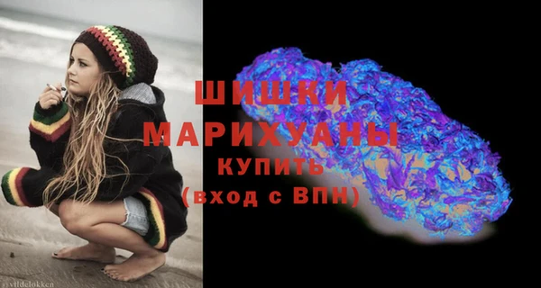 mix Богородицк